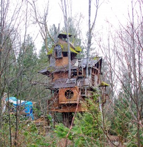 Photo of an odd treehouse